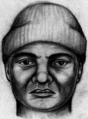 Farmington Hills Police Sketch of Suspect