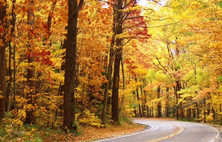 Michigan Road in Fall