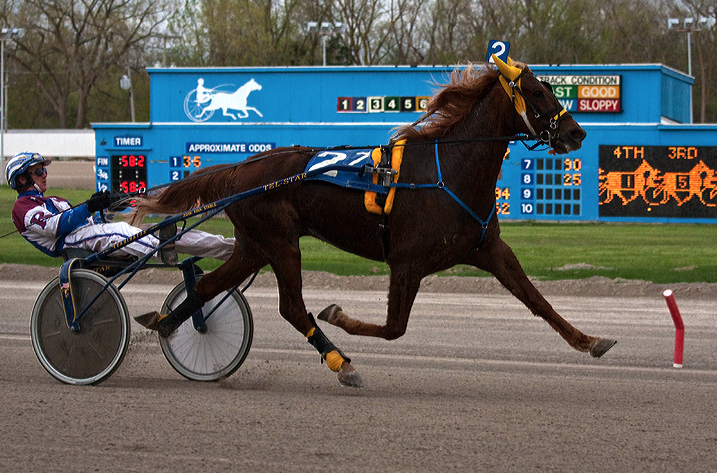 Harness Racing at Northville Downs