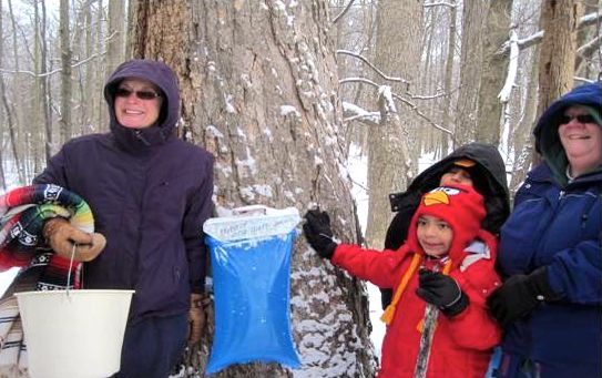 Wayne County Maple Sugaring