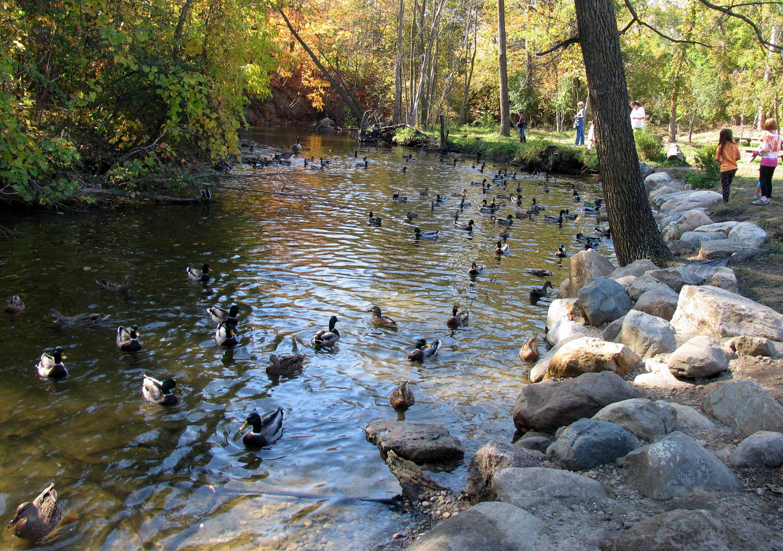 Rouge River Northville Michigan