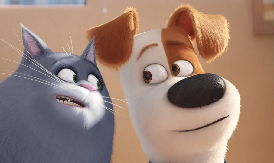 The secret life of pets