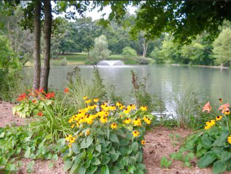 Fish Hatchery Park