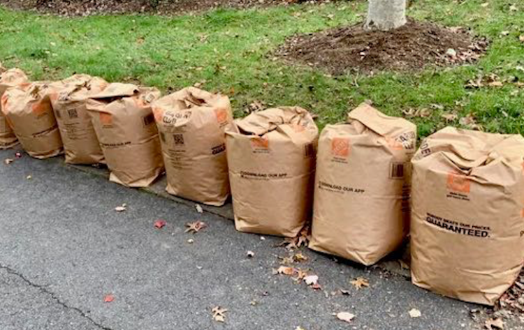 Yard Waste Bag Collection